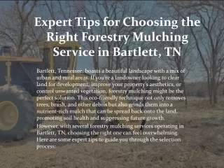 Expert Tips for Choosing the Right Forestry Mulching Service in Bartlett, TN.ppt