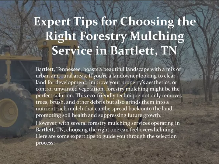 expert tips for choosing the right forestry mulching service in bartlett tn