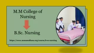 B.SC Nursing