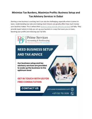 Minimize Tax Burdens, Maximize Profits: Business Setup and Tax Advisory Services