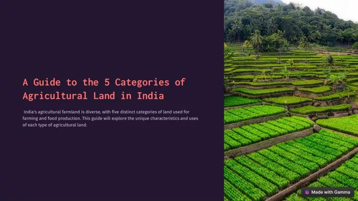 a guide to the 5 categories of agricultural land