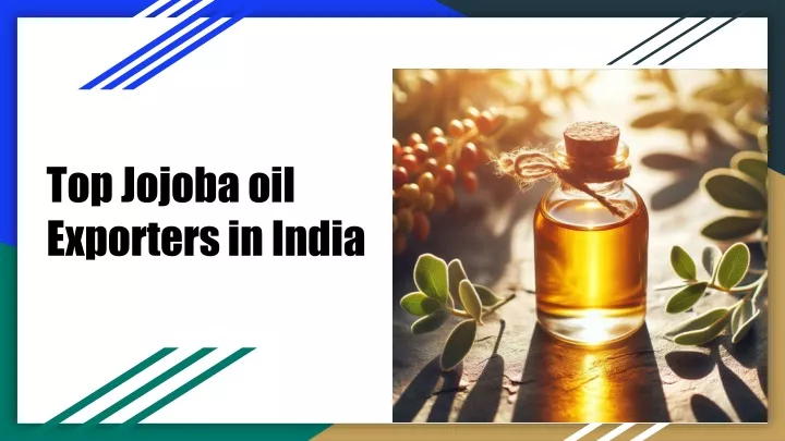 top jojoba oil exporters in india