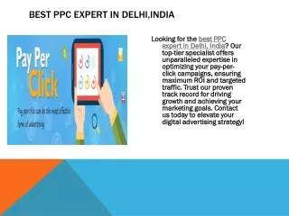 seo expert in delhi