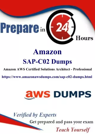 Comprehensive SAP-C02 Study Guide: Your Path to Amazon Certification: