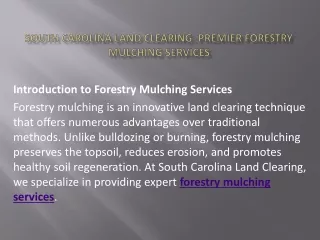 South Carolina Land Clearing Premier Forestry Mulching Services