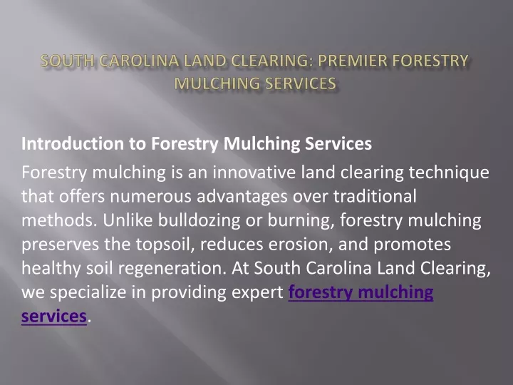 south carolina land clearing premier forestry mulching services