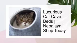 Luxurious Cat Cave Beds | Nepalaya | Shop Today