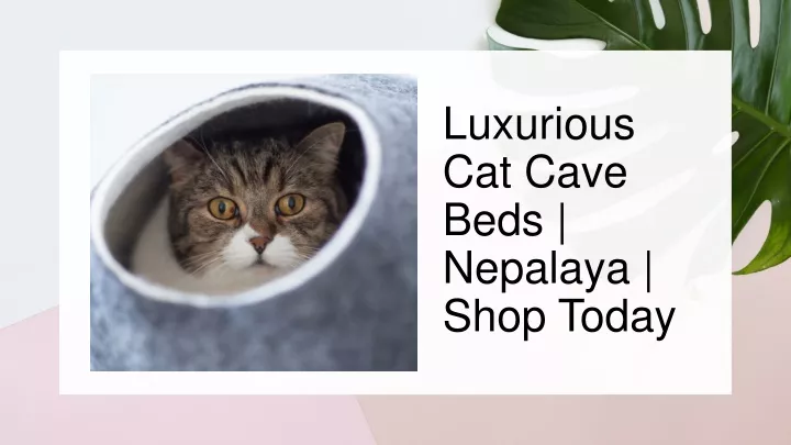 luxurious cat cave beds nepalaya shop today