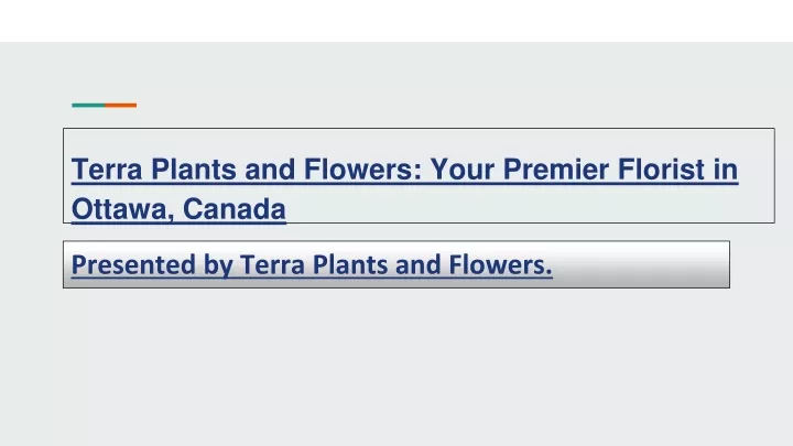 terra plants and flowers your premier florist in ottawa canada