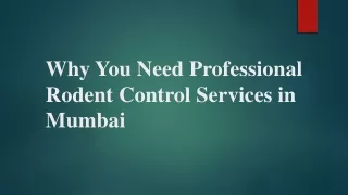 Why You Need Professional Rodent Control Services in Mumbai