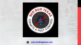 Cockroach Exterminator