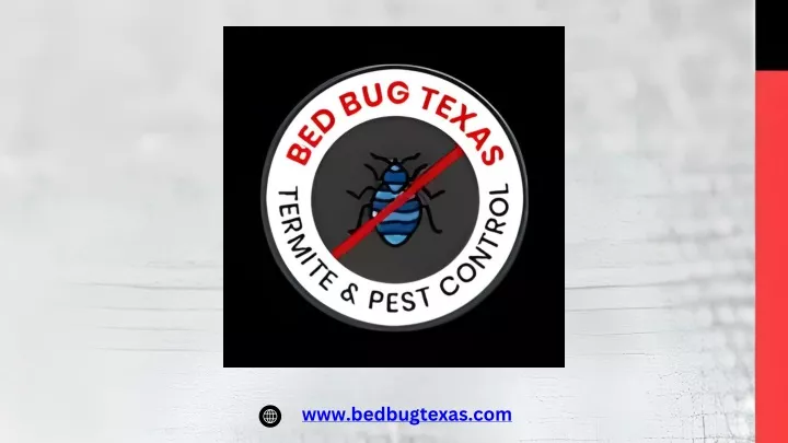 www bedbugtexas com