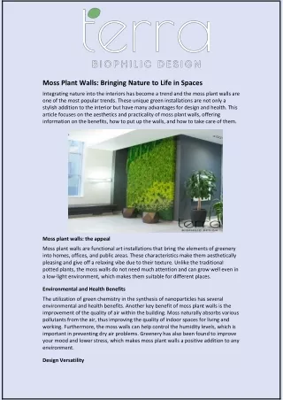 Moss Plant Walls: Bringing Nature to Life in Spaces