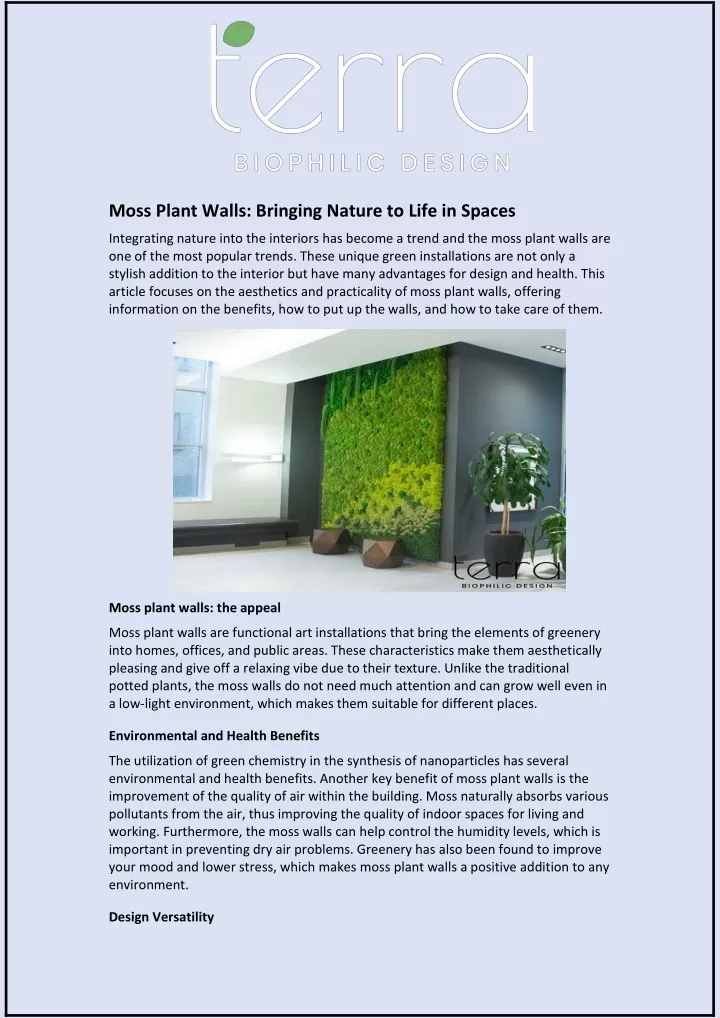 moss plant walls bringing nature to life in spaces