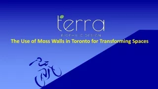 The use of moss walls in Toronto for transforming spaces