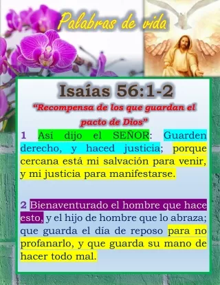ISAIAS56