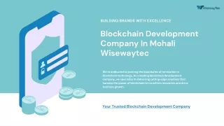 Blockchain Development Company In Mohali Wisewaytec