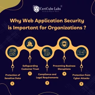 Why Web Application Security Is Important for Organization ?