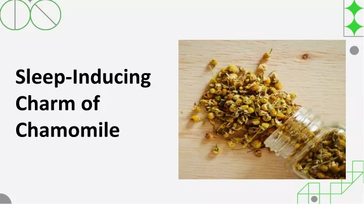 sleep inducing charm of chamomile