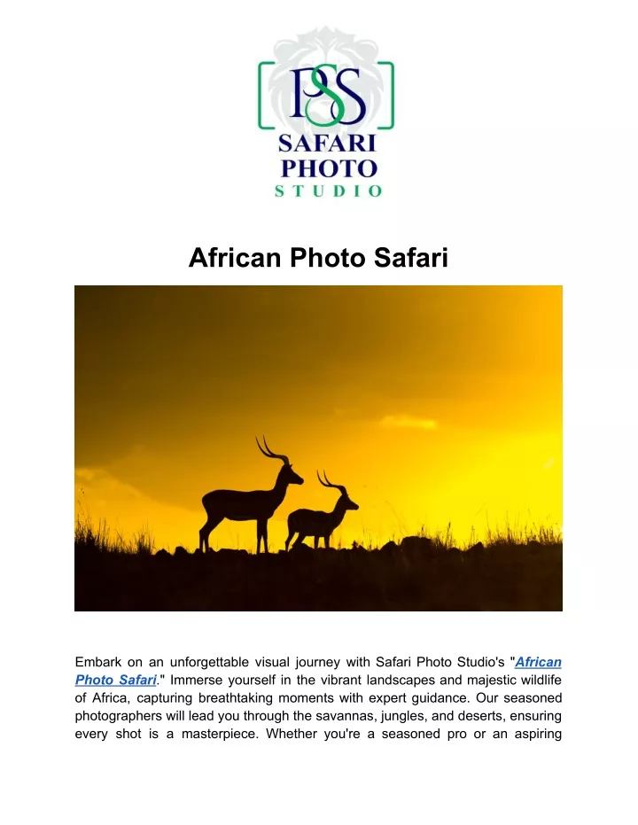 african photo safari