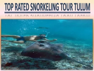 Top Rated Snorkeling Tour Tulum