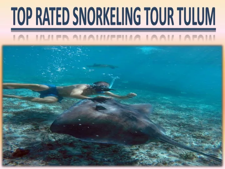 top rated snorkeling tour tulum