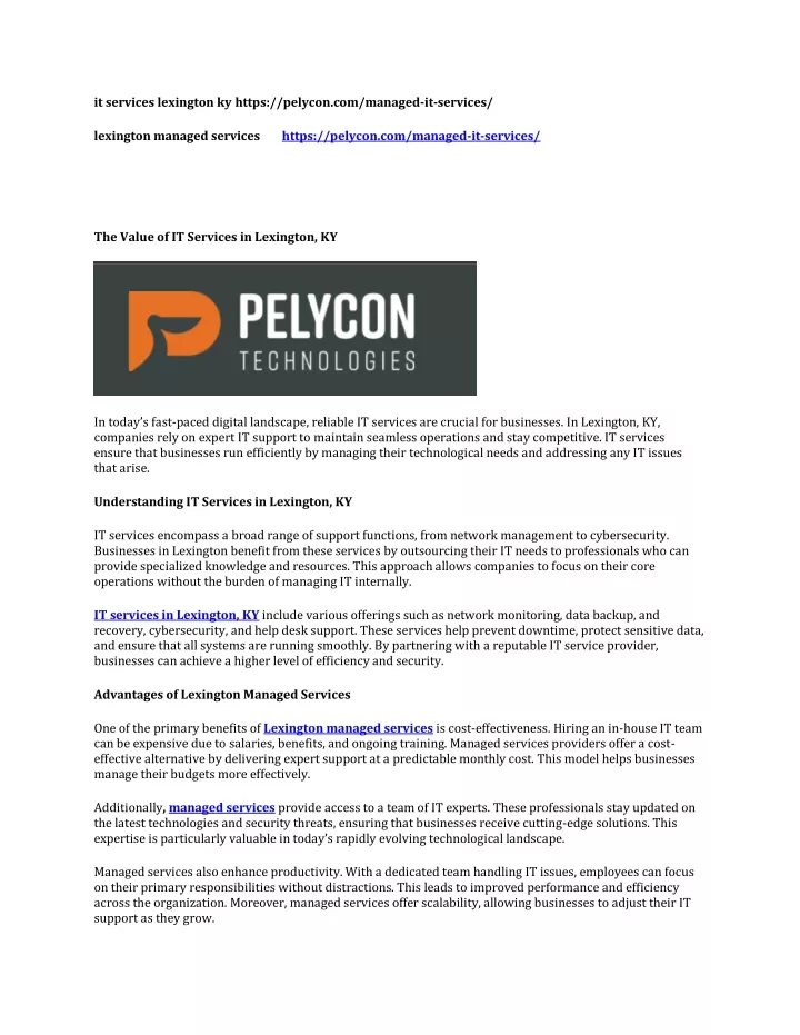 it services lexington ky https pelycon