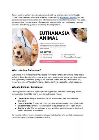 Understanding Euthanasia Animal : A Guide for Pet Owners