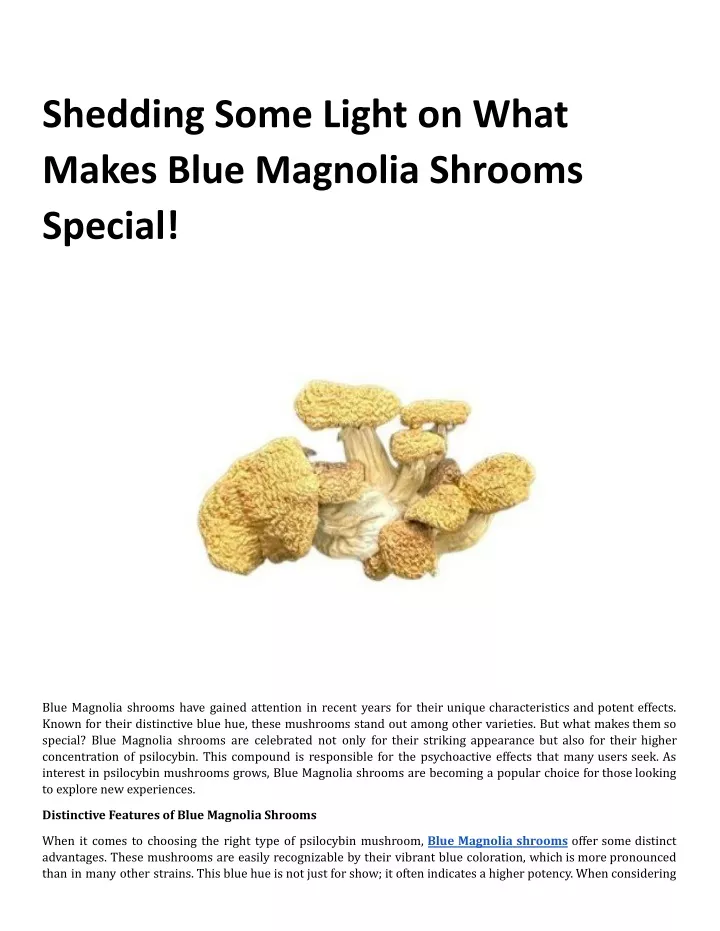 shedding some light on what makes blue magnolia