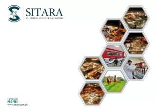 Sitara Chemical Corporate Profile