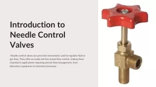 Introduction-to-Needle-Control-Valves