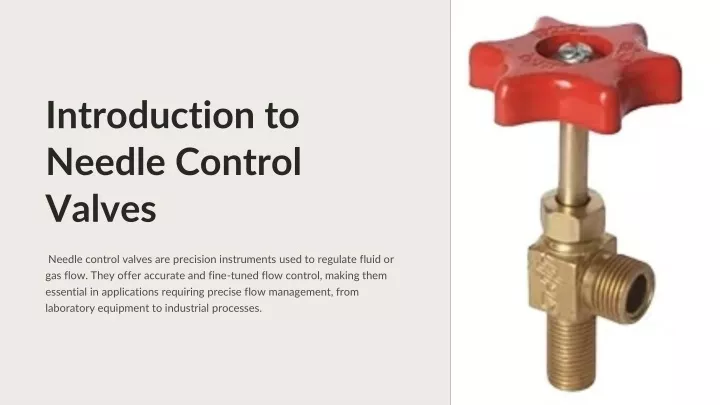 introduction to needle control valves