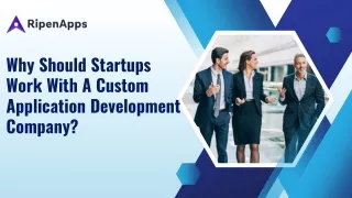 why should startups work with a custom
