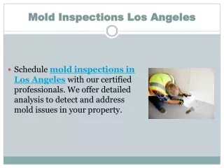 Mold Inspections Los Angeles