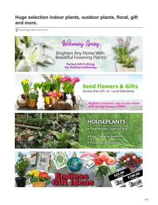 baysidegardencenter.com-Huge selection indoor plants outdoor plants floral gift and more