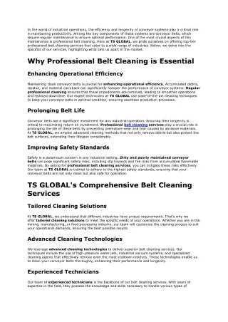 Where Can You Find Professional Belt Cleaning Services