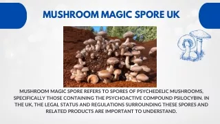 Mushroom magic spore UK