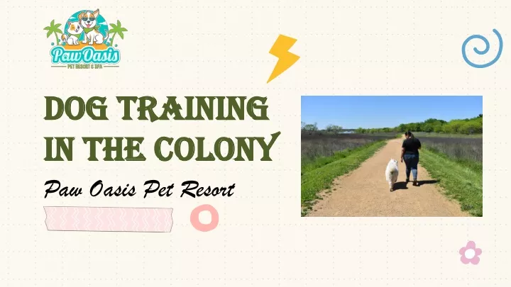 dog training in the colony