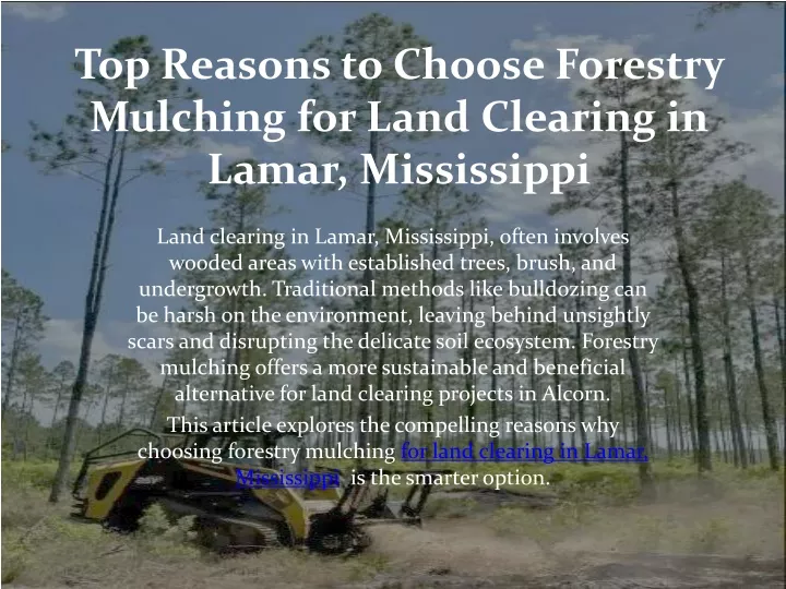 top reasons to choose forestry mulching for land clearing in lamar mississippi