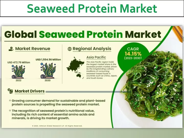 seaweed protein market