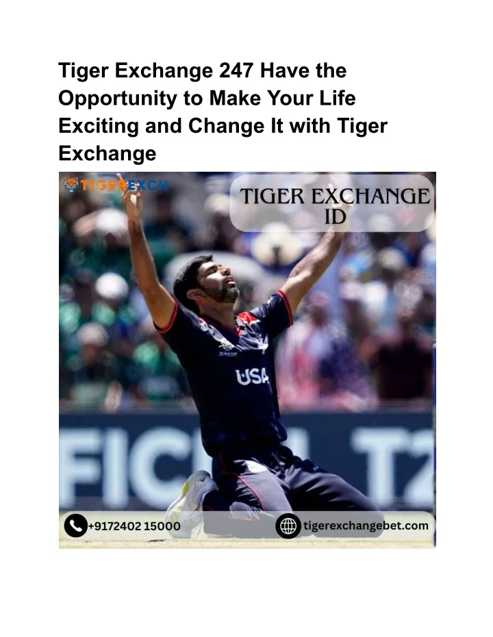 tiger exchange 247 have the opportunity to make