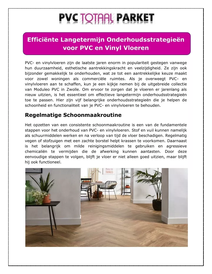 PPT - Efficiënte Langetermijn Onderhoudsstrategieën Voor PVC En Vinyl ...