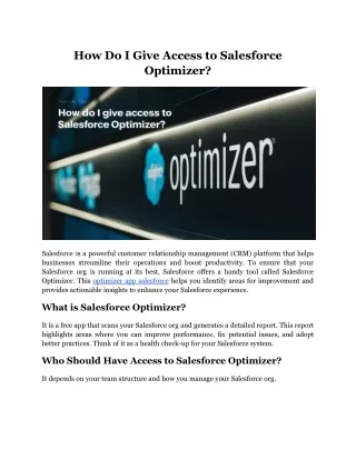 How Do I Give Access to Salesforce Optimizer?