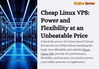 Cheap  Linux VPS : High Performance, Low Prices for Your Projects