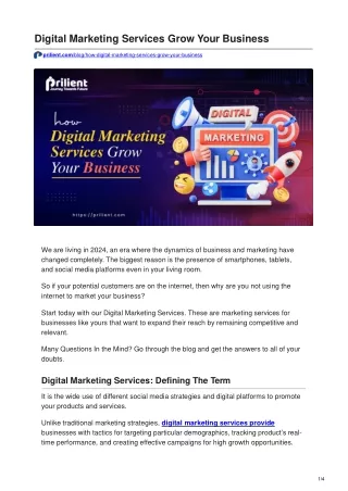 prilient.com-Digital Marketing Services Grow Your Business