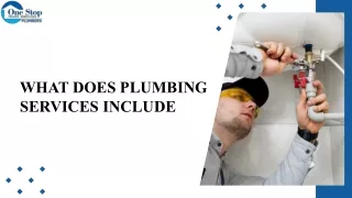 What Does Plumbing Services Include?