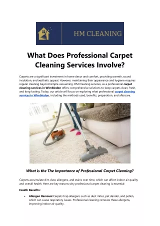 what does professional carpet cleaning services