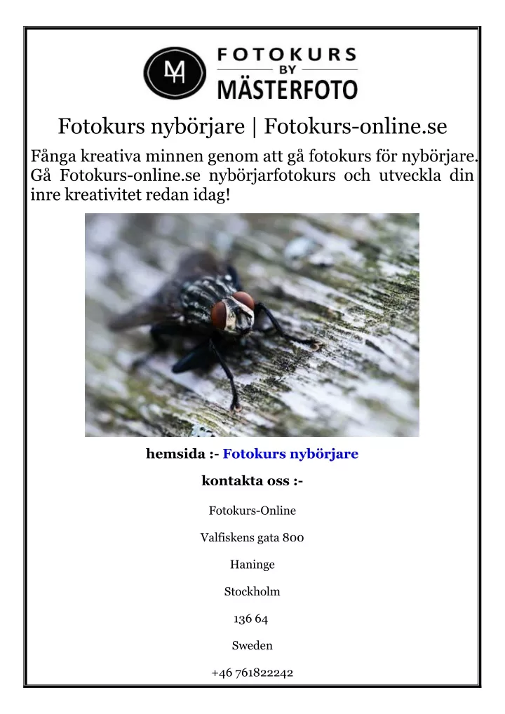 fotokurs nyb rjare fotokurs online