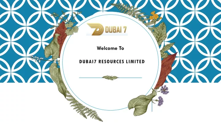 dubai7 resources limited