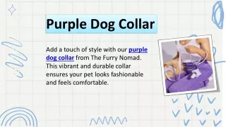 Purple Dog Collar